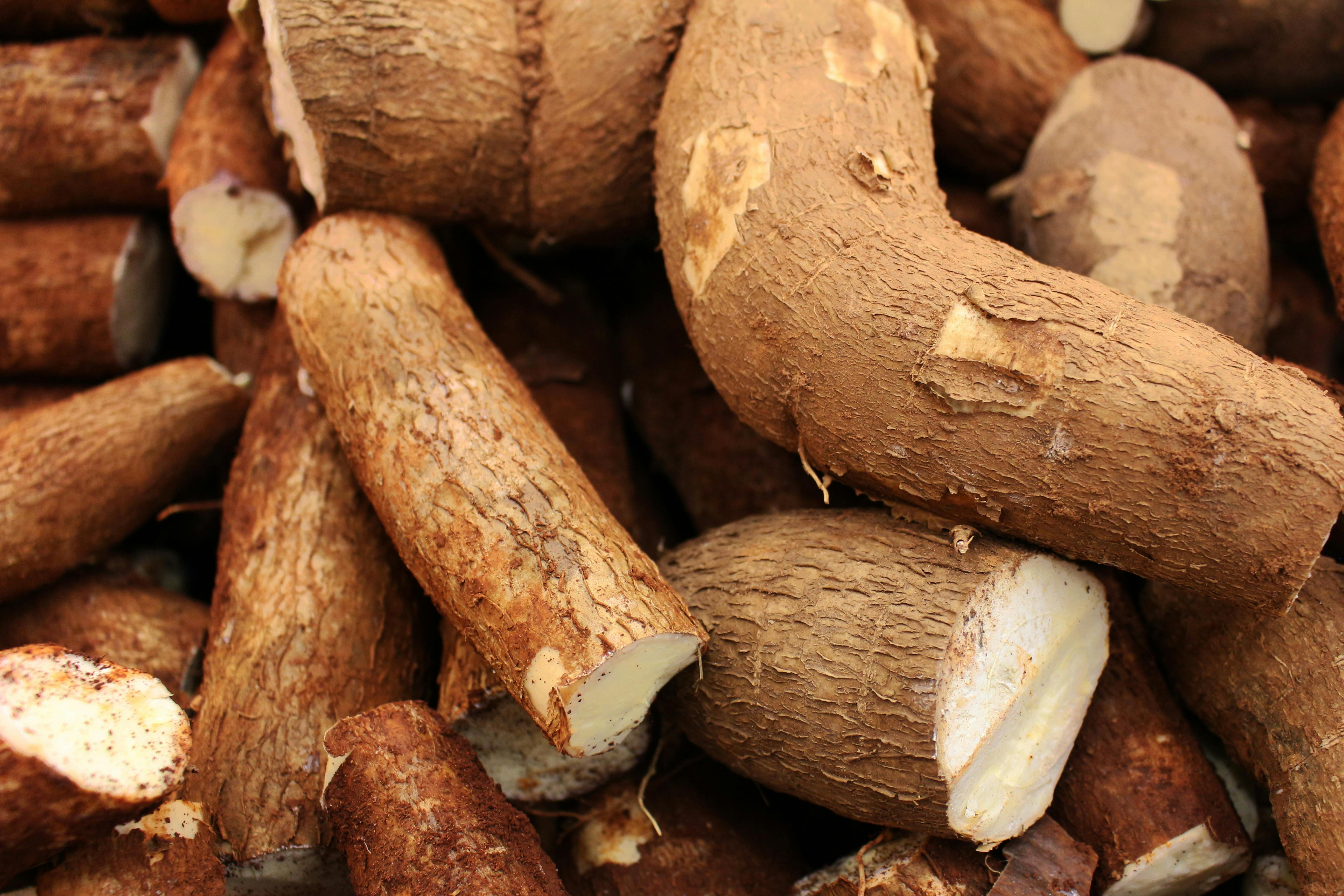 Image of Cassava